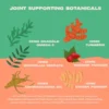 Bonza Bounce Joint and Mobility Supplement for Dogs Natural Herbs and Botanicals for Joint Health Support