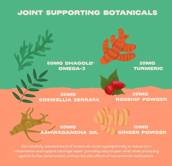 Bonza Bounce Joint and Mobility Supplement for Dogs Natural Herbs and Botanicals for Joint Health Support