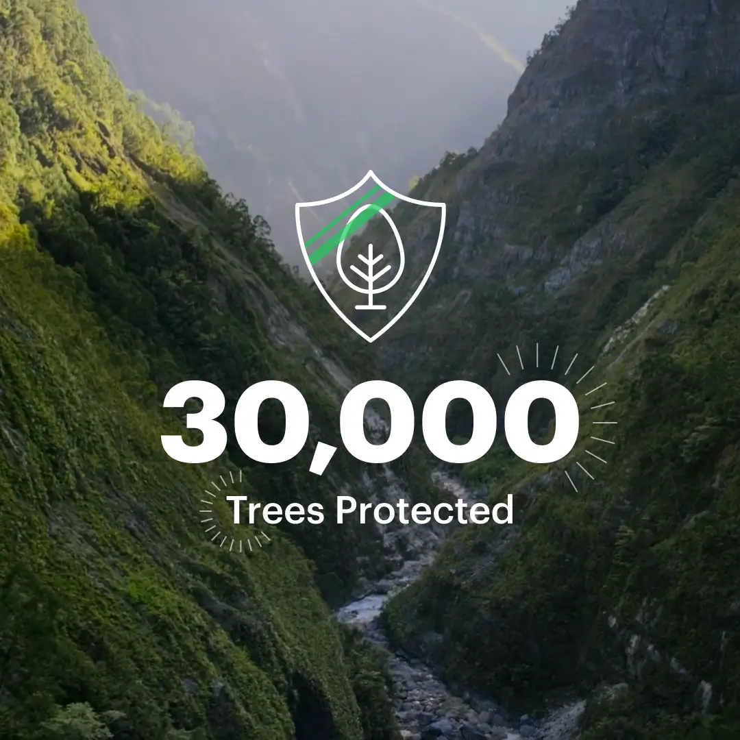 Bonza Dogs Save 30,000 Rainforest Trees – You’re Heroes!