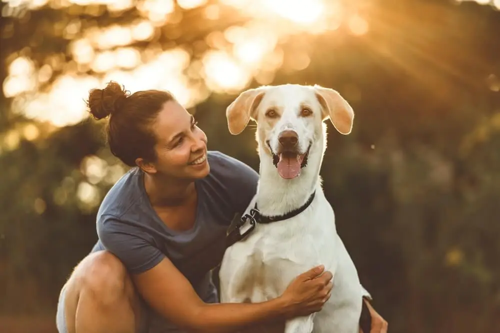 Bonza Good Dog Day Hoe je een evenwichtige routine aanlegt