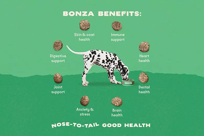 Los mejores aceites para perros: Guía basada en pruebas sobre beneficios, mecanismos y uso seguro