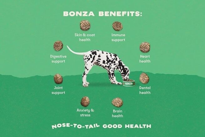 Bonza Vegan Dog Food with Omega 3 and Probiotics Health Benefits-min Bonza Vegan Dog Food with Omega 3 and Probiotics Health Benefits (nourriture pour chiens végétaliens avec oméga 3 et probiotiques)
