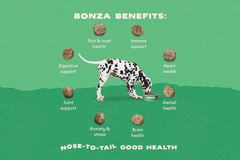 Bonza Vegan hondenvoer met Omega 3 en Probiotica Gezondheidsvoordelen