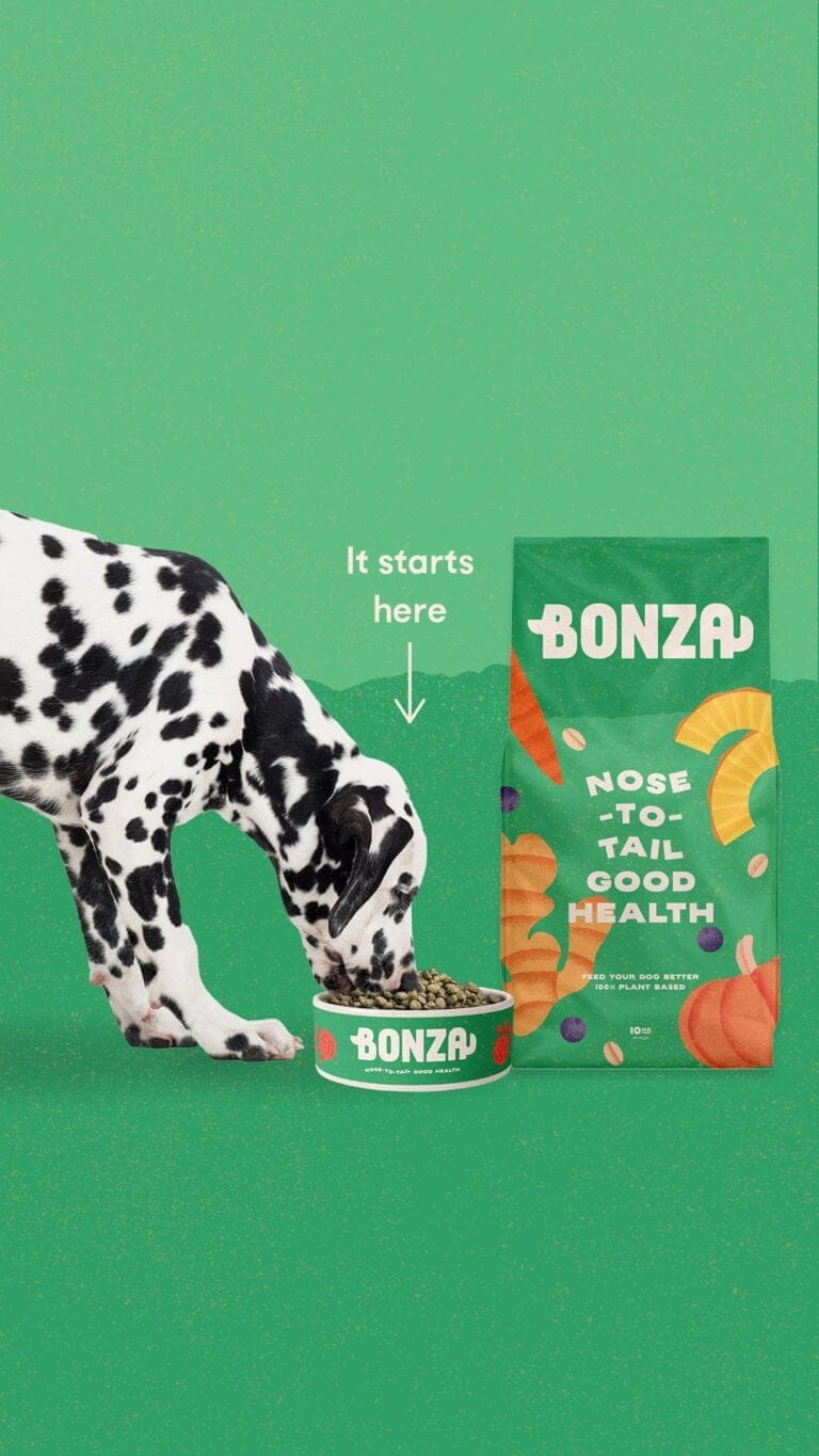 Bestes veganes Hundefutter für wählerische Esser Leckerstes Hundefutter