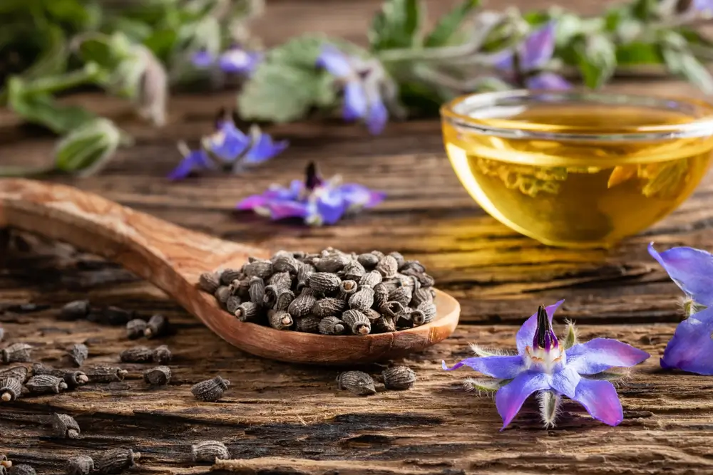 Aceite de borraja para perros - Guía de beneficios para la salud