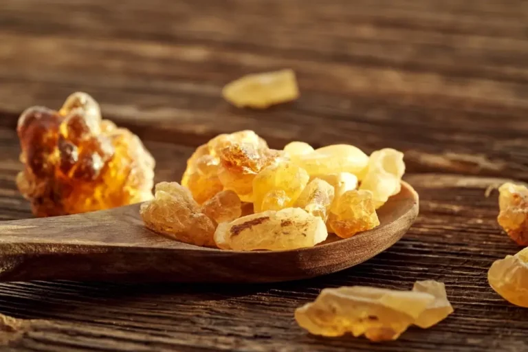 Boswellia Serrata für Hunde: Positive Auswirkungen auf die Gesundheit