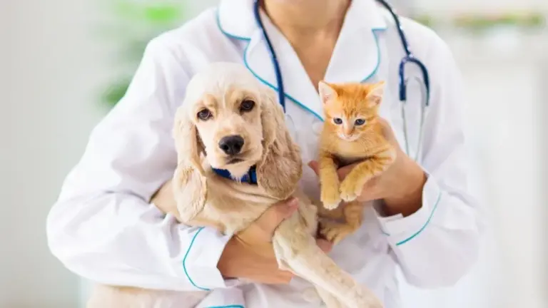 British Veterinary Association BVA Ends-Opposition to Vegan Diets for Dogs
