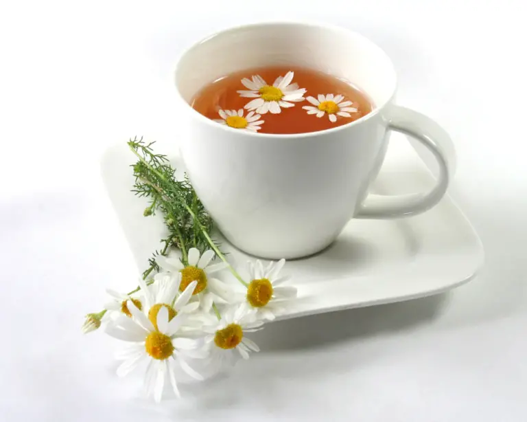 Chamomile Tea for Dogs Usage and Health Benefits