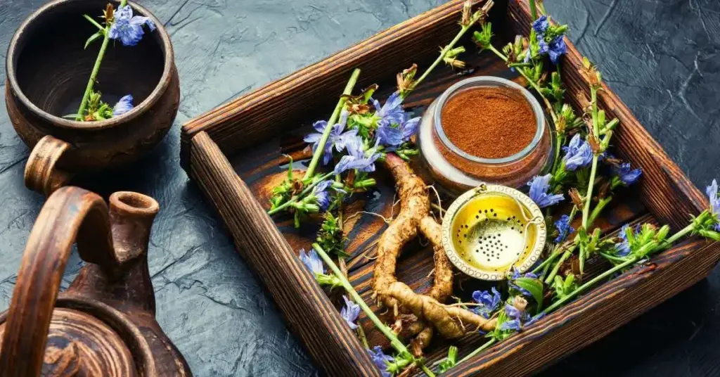 Chicory Root For Dogs Health Benefits and Safety