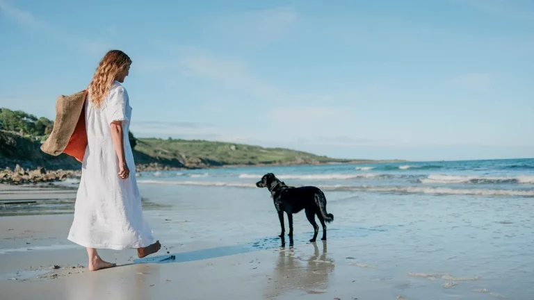 Guide complet de sécurité alimentaire pour votre chien en vacances