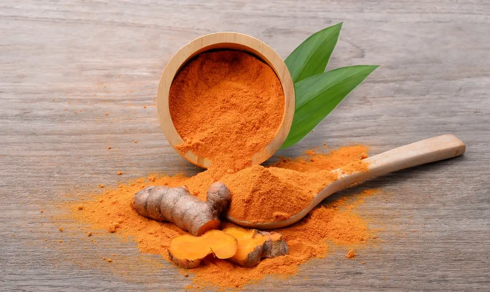 Curcumin oder Kurkuma für Hunde: Was nützt der Gesundheit am meisten?