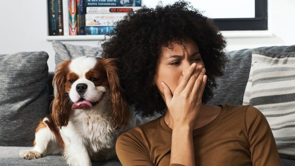 Dog food that doesn't stink smell bad for owner