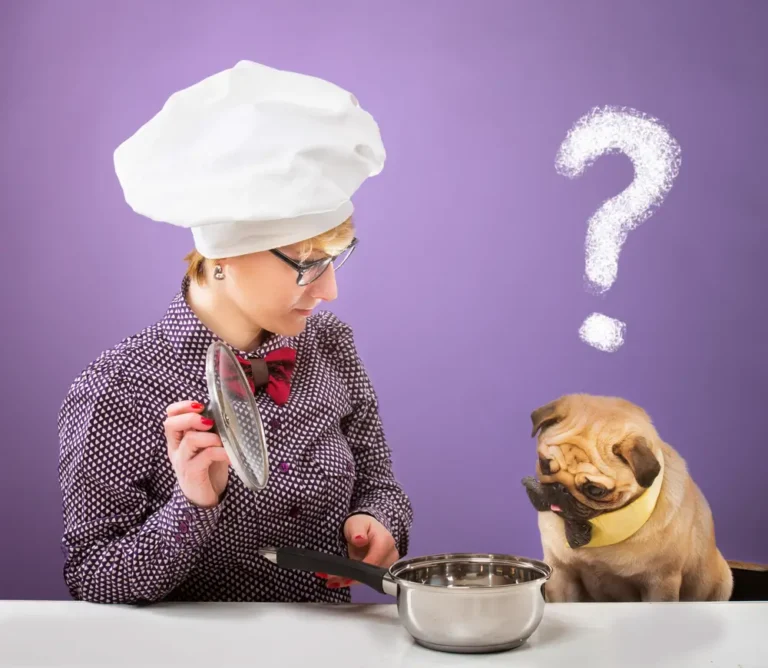 Nourriture sèche végétalienne pour chiens : Un guide complet pour les propriétaires de chiens