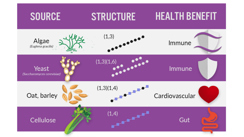 Food Sources of Beta-Glucans for Dogs and The Different Strains