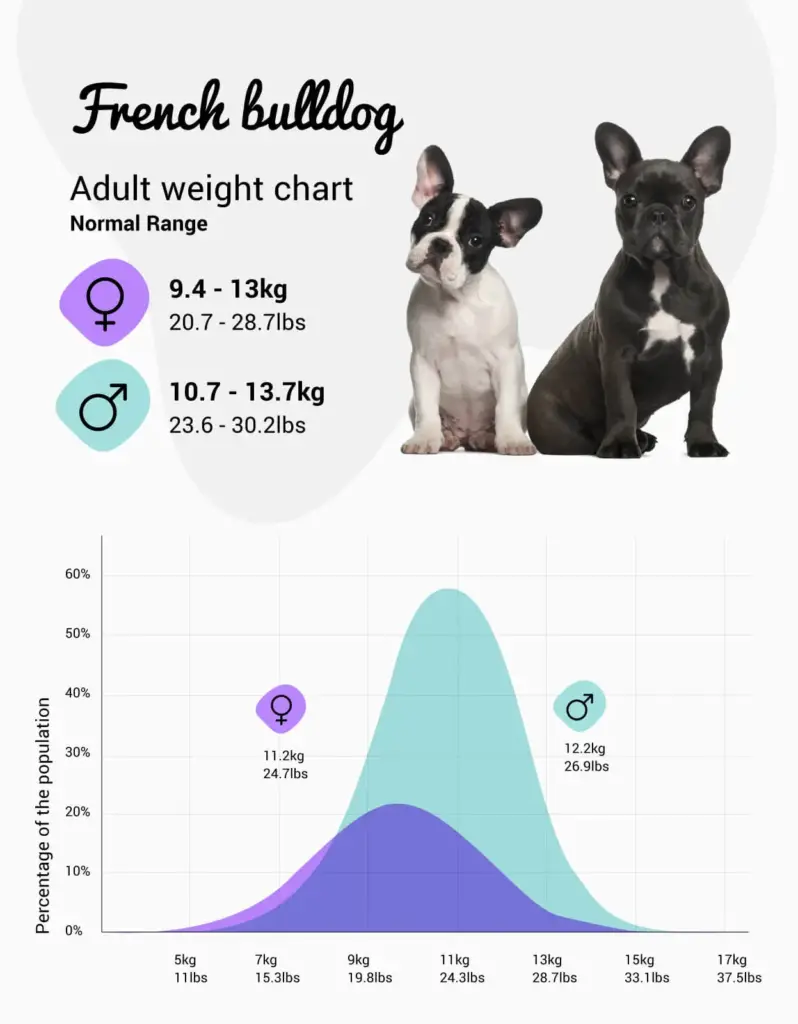 French Bulldog Weight Chart