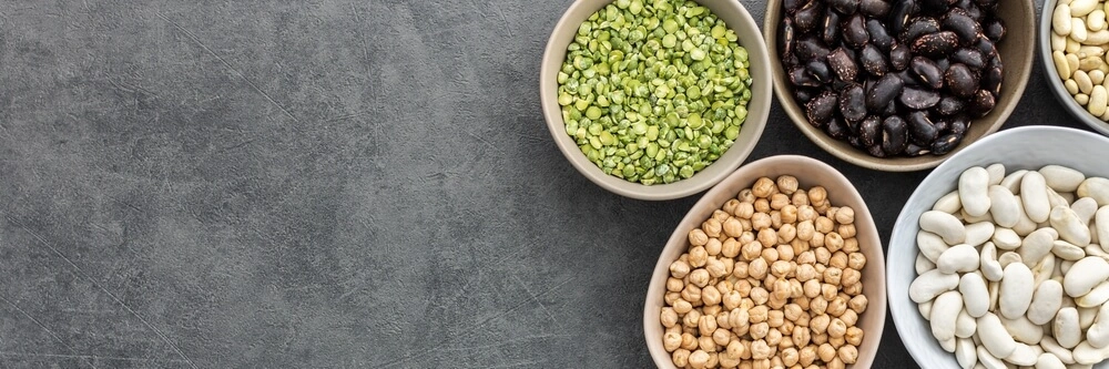 Gib einem Hund eine Bohne Veganes Hundefutter Gesundheitliche Vorteile UK