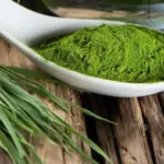 Health Benefits of Spirulina for Dogs