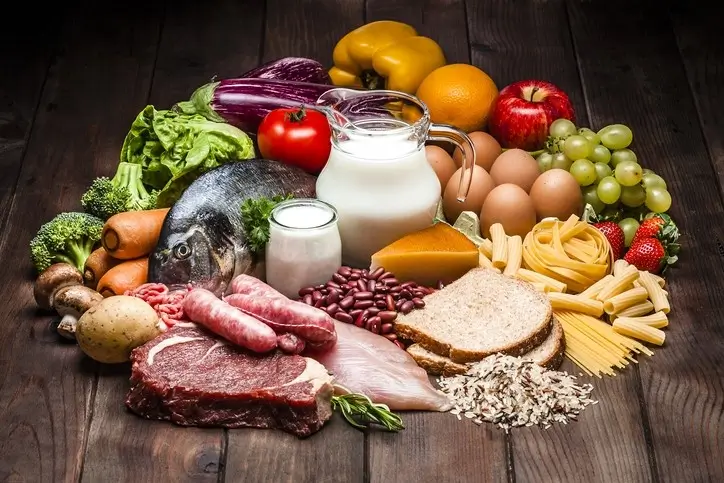 Stärkehaltige oder fettreiche Ernährung Was ist besser für den Stoffwechsel von Hunden?