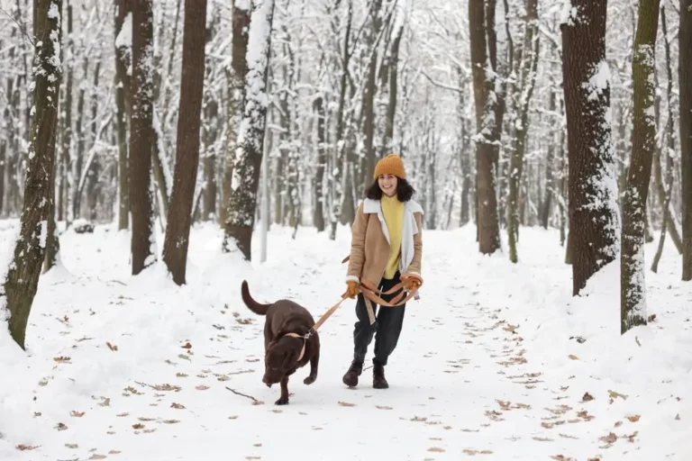 Comment créer une routine hivernale saine pour votre chien
