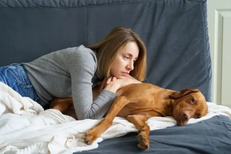 IBD in Dogs Causes, Symptoms Treatments, FAQ IBD for Dogs