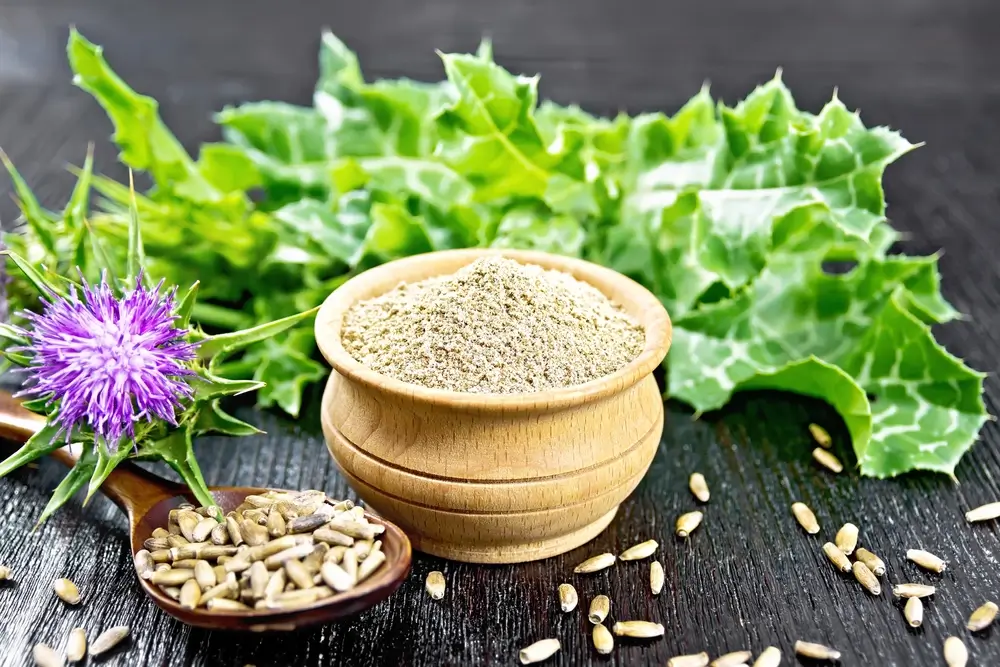 Milk Thistle for Dogs Discover the Benefits of Silymarin