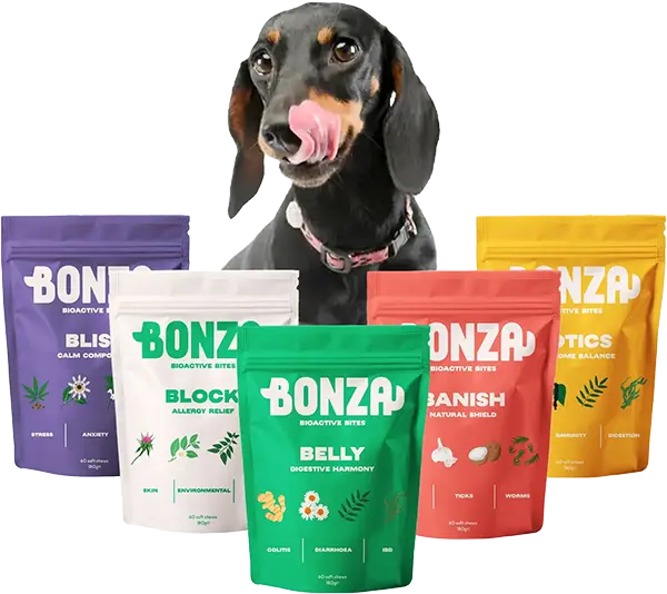Bonza Bioactive Bites Functional Soft Chew Supplements for Dog Health Issues (Suppléments fonctionnels à mâcher pour la santé des chiens)