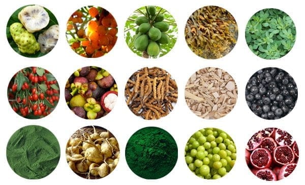 Gezondheidsvoordelen voor honden van plantaardige superfoods