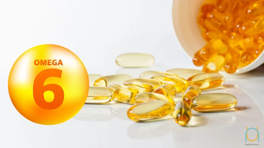 Omega-6 voor honden - Uitgebreide gids over voordelen en voorzorgsmaatregelen voor eigenaars