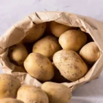 Fécule de pomme de terre pour chiens : énergie, amidon résistant et bienfaits pour la santé intestinale