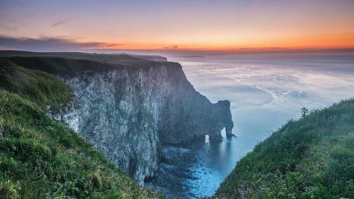 RPSB Bempton Cliffs, Yorkshire Dog Walks