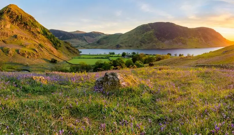 Rannerdale Knotts, Lake District Dog Walks