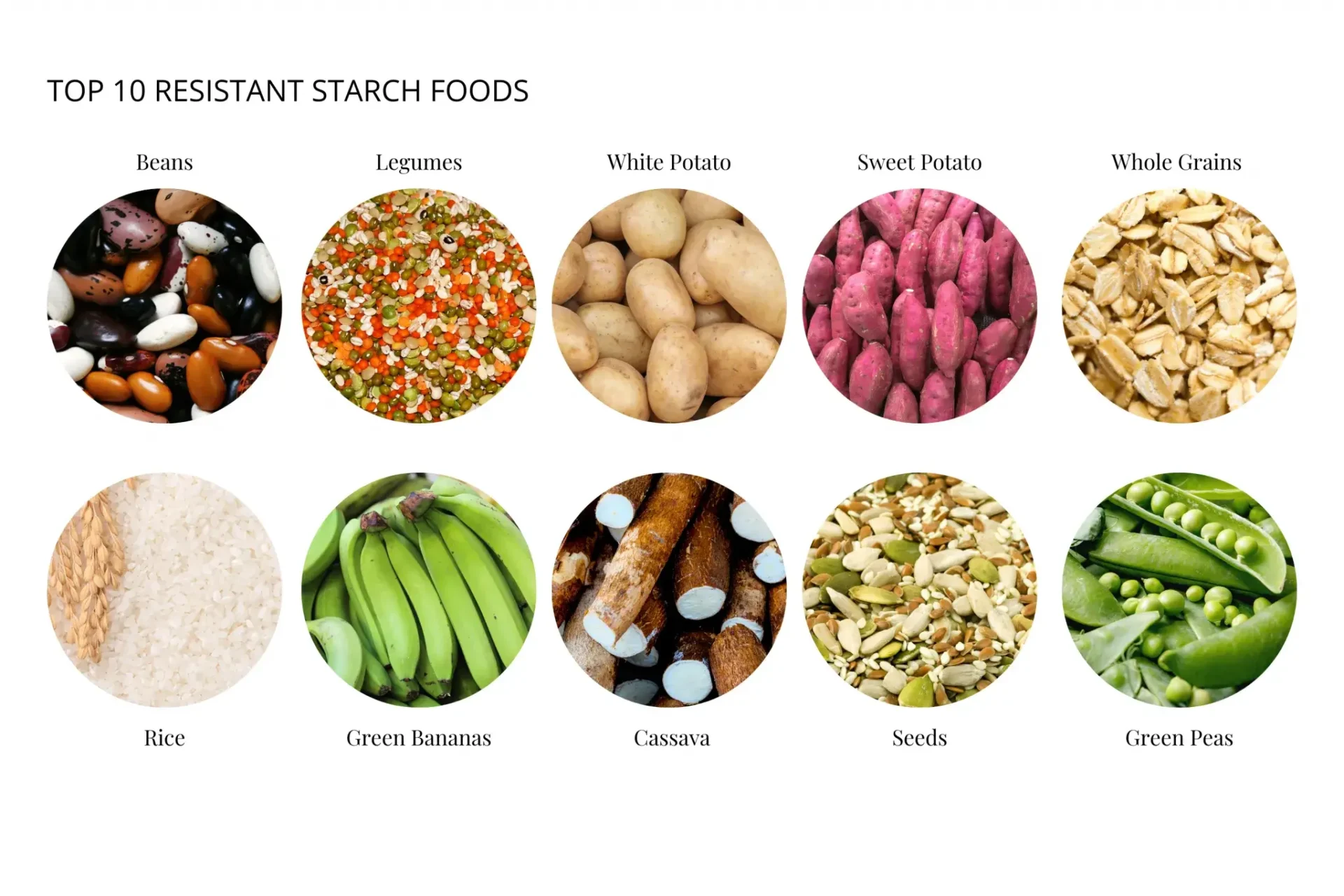Resistant Starch for Dogs: Gut Health, Butyrate Production & Prebiotic Benefits