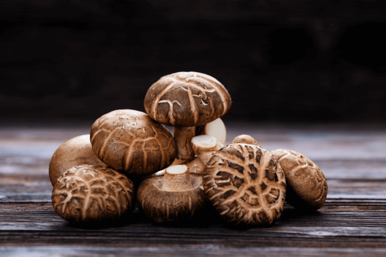 Shiitake Mushrooms for Dogs: Immune Support, Antioxidant Protection & Whole-Body Benefits