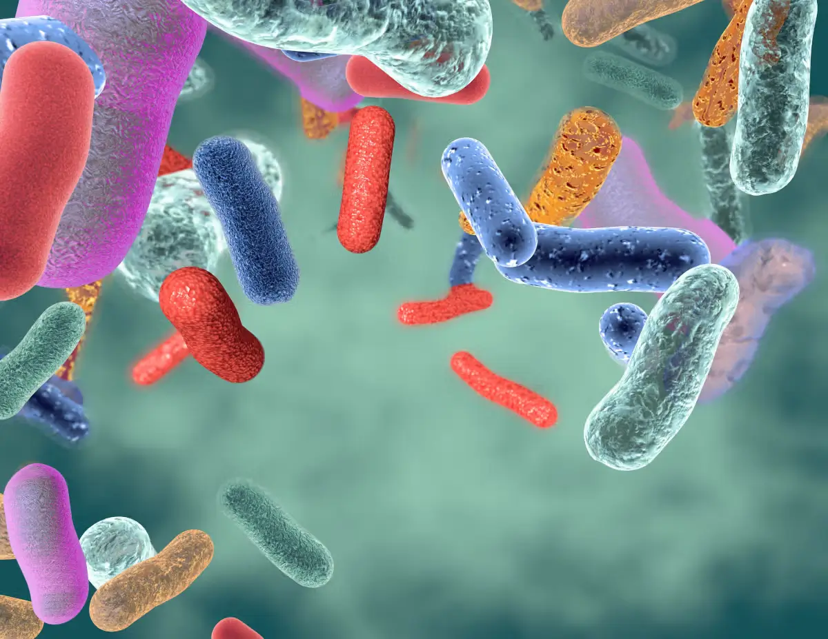 Spore-Forming Probiotics for Dogs: Why Calsporin® Outperforms Standard Strains