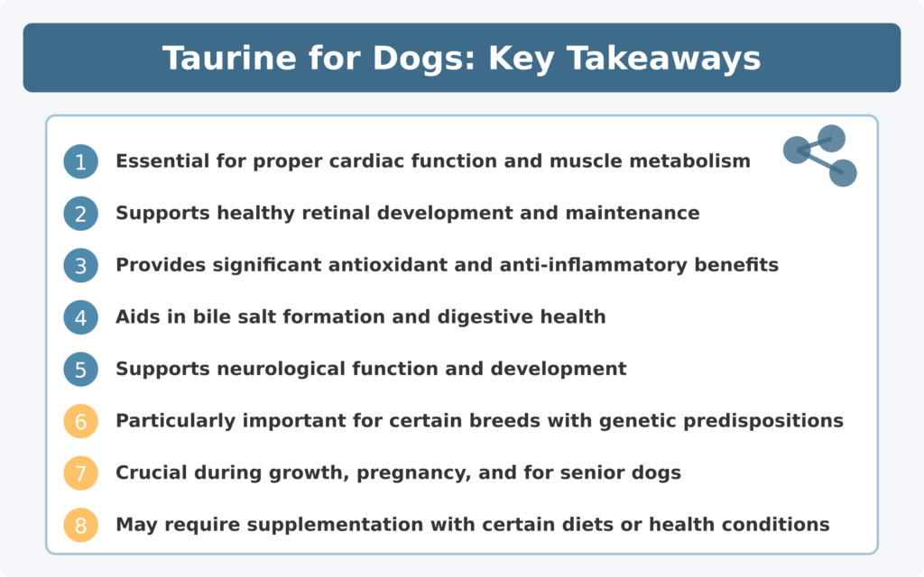 Taurin für Hunde Positive Auswirkungen auf die Gesundheit Key Takeaways