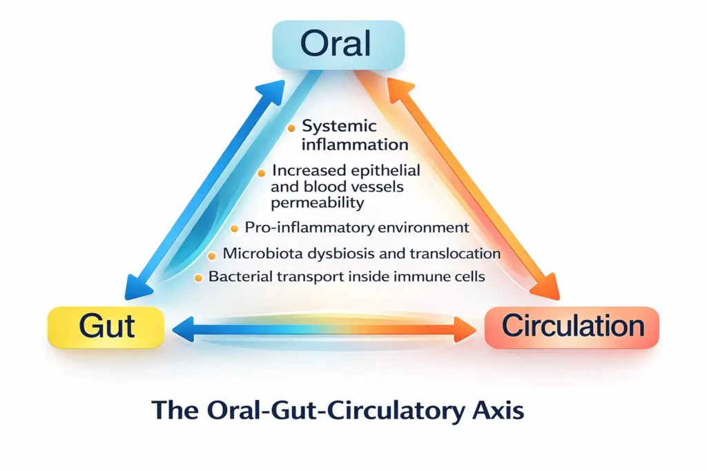 The Gut-Oral Axis: Bidirectional Communication
