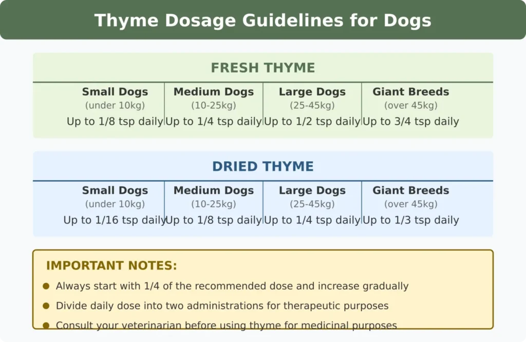 Thyme Dosage Guidelines for Dogs