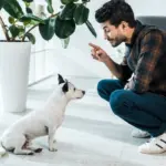 Plantas venenosas (y no venenosas) para perros: Guía completa Toxic and Non-Toxic Plants for Dogs A Comprehensive Guide