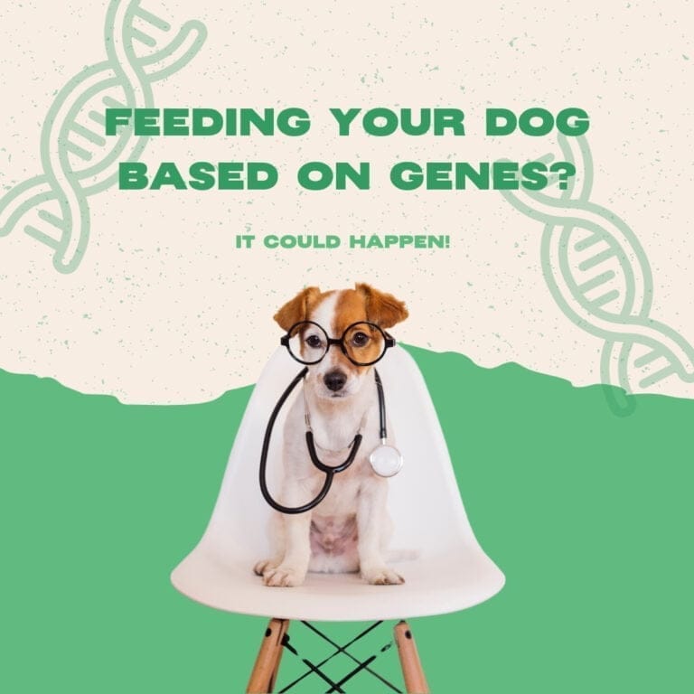 Understanding Canine Nutrigenomics_ The Future of Dog Nutrition