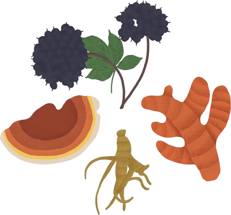 Adaptogens and Herbs Immune Support Bonza Best Super Premium Plant-based Vegan Vegetarian Healthy Dry Dog Food Online Subscription Service Includes Herbs, Botanicals and Adaptogen Supplements for Improved Nutrition and Health Environmentally Sustainable Food for Dogs