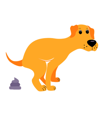 Intestinal issues (e.g. vomiting, diarrhoea etc.)