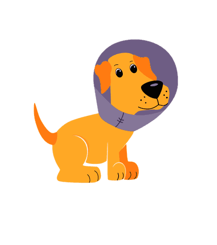 Minor injuries & accidents