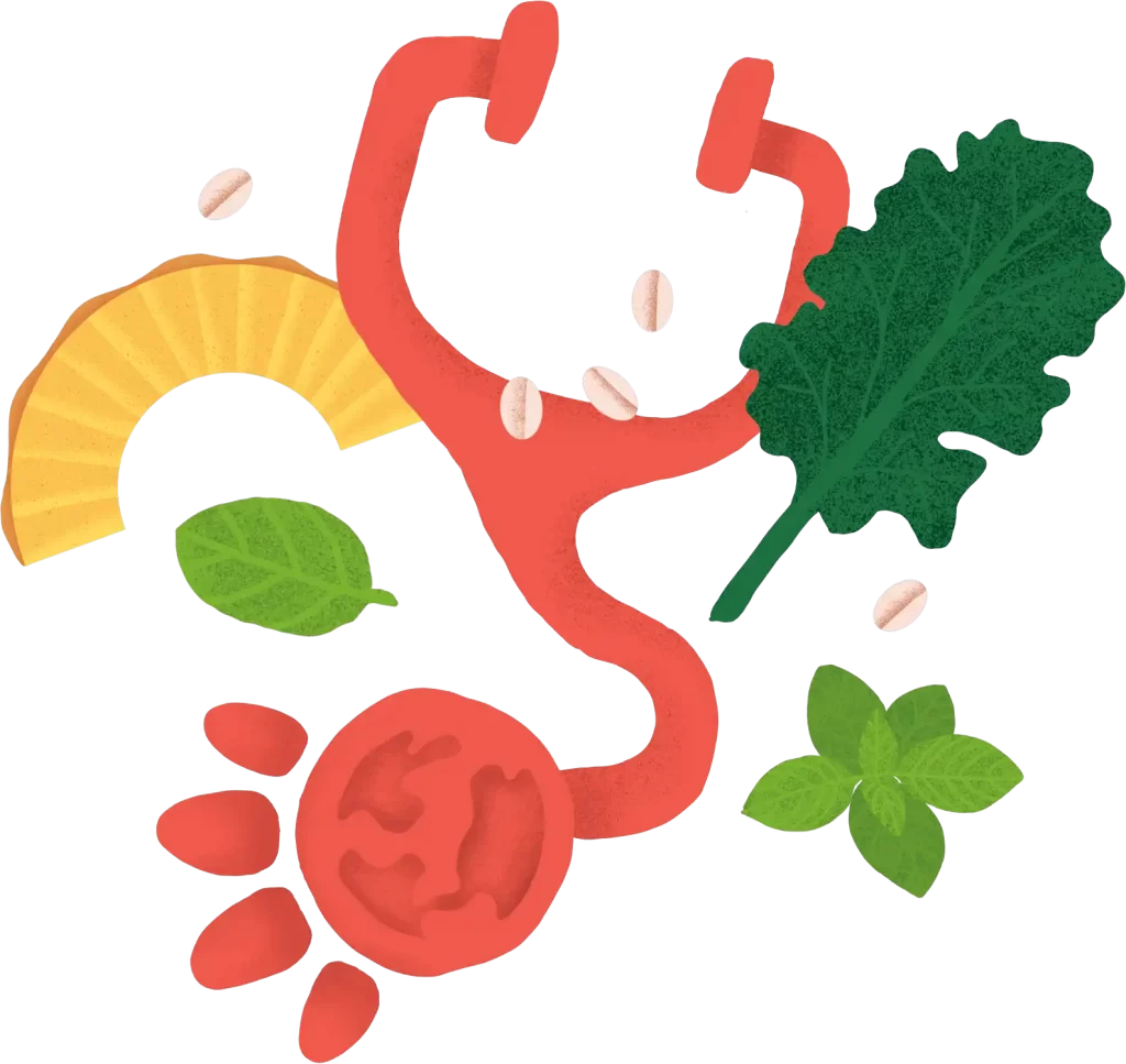Canine Nutritionists Vets RecommendedBonza Best Super Premium Plant-based Vegan Vegetarian Healthy Dry Dog Food Online Subscription Service Includes Herbs, Botanicals and Adaptogen Supplements for Improved Nutrition and Health Environmentally Sustainable Food for Dogs