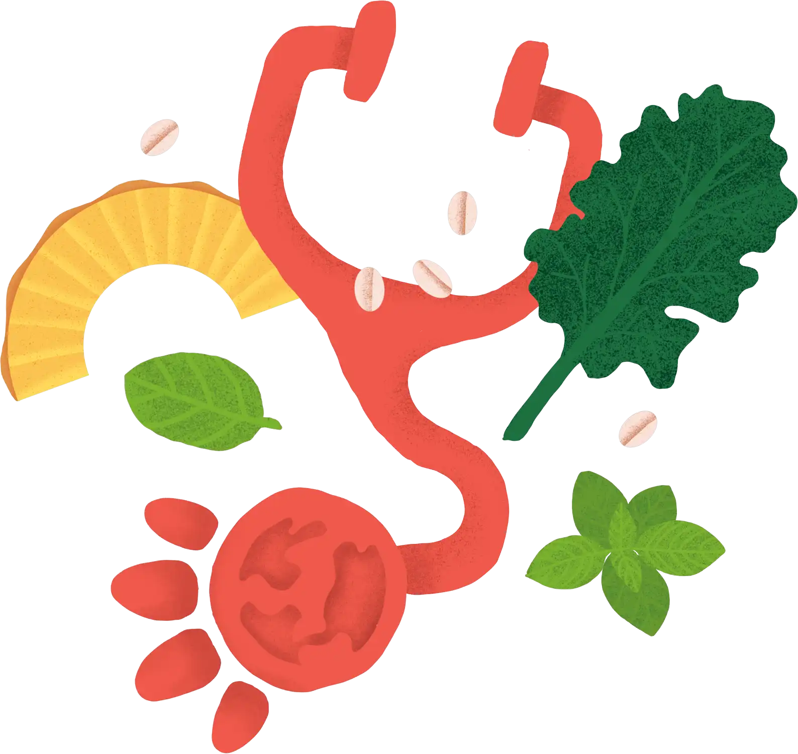 Plant-based Dog Food – What Are The Benefits?