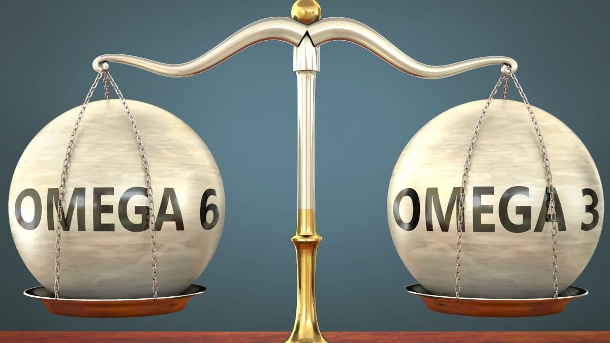 Omega-6 : Omega-3 Ratio – The Importance of Balance for Dog Health